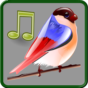 Descargar app Birds Sounds
