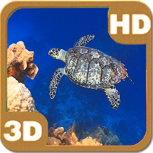 Descargar app Turtle Swimming Coral Reef