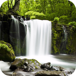 Descargar app Relájese Bosque ~ Sonidos De La Naturaleza disponible para descarga
