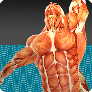 Descargar app Muscle Tests 3