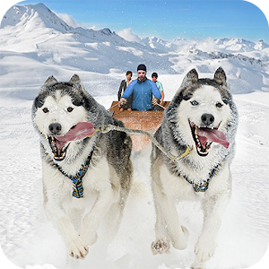 Descargar app Nieve Perro Trineo Transportar  Invierno Deportes disponible para descarga