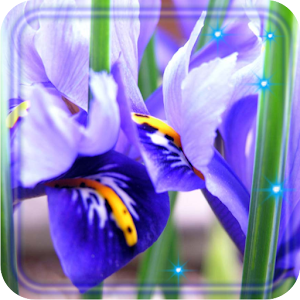 Descargar app Iris Asombrosos disponible para descarga