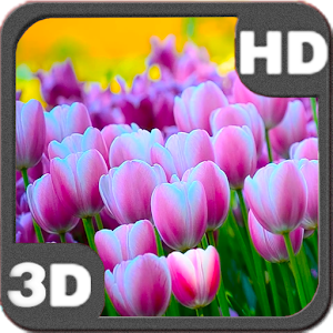 Descargar app Aroma Of Tulips Carpet Bloom disponible para descarga