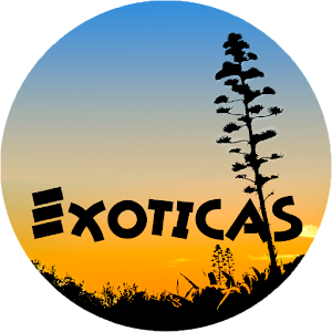 Descargar app Exóticas Murcia