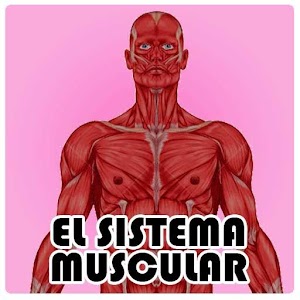 Descargar app El Sistema Muscular disponible para descarga