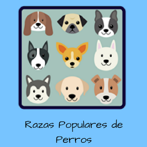 Descargar app Razas Populares De Perros disponible para descarga