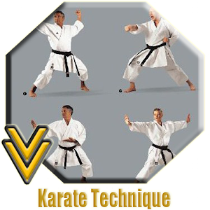 Descargar app Técnica De Karate disponible para descarga