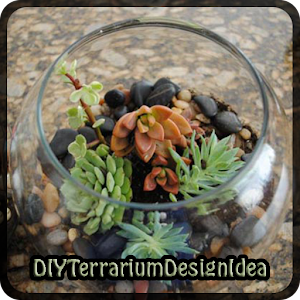 Descargar app Idea Terrarium Bricolaje disponible para descarga