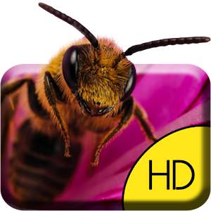 Descargar app Trabajadora Bee Live Wallpaper