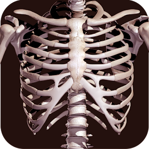 Descargar app Sistema Oseo En 3d (anatomía) disponible para descarga
