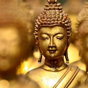 Descargar app Fondos De Pantalla De Budismo disponible para descarga