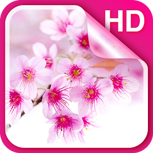 Descargar app Sakura Fondo Animado