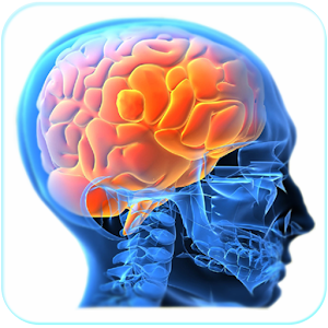 Descargar app Cerebro Inteligente