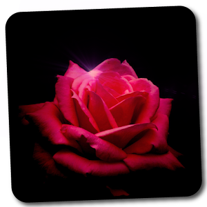 Descargar app Rosas Especiales, Imágenes disponible para descarga