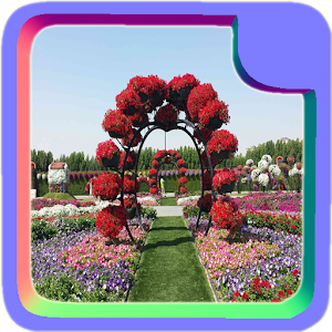 Descargar app Flores Arcos Diseño