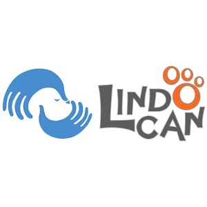 Descargar app Lindocan disponible para descarga