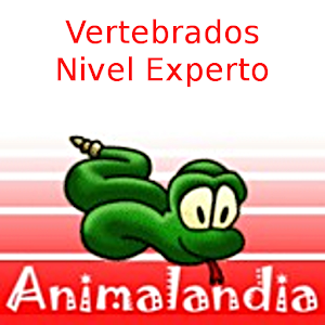 Descargar app Animalandia Vertebrados Exp disponible para descarga