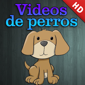 Descargar app Videos De Perros Graciosos Hd