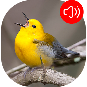 Descargar app Sonidos De La Curruca De Aves disponible para descarga