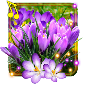 Descargar app Nieve Crocus Primavera Fondos Animadosdos disponible para descarga