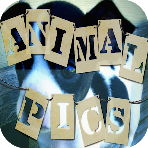 Descargar app Animal Pics disponible para descarga