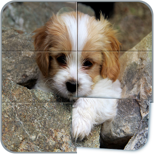 Descargar app Cachorros Rompecabezas disponible para descarga