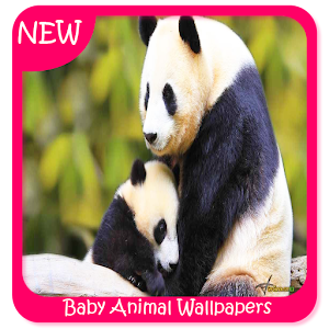 Descargar app Baby Animal Wallpapers disponible para descarga