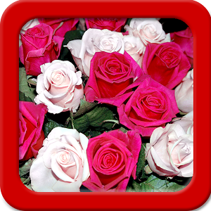 Descargar app Rose Live Wallpapers disponible para descarga
