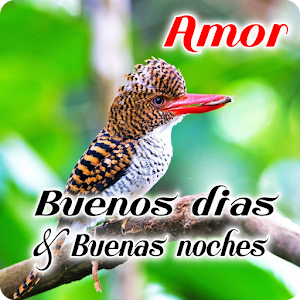 Descargar app Buenos Días Y Buenas Noches Deseos Amor disponible para descarga