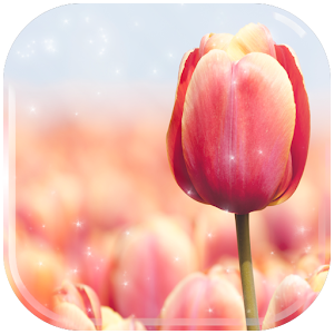 Descargar app Tulipanes Fondos De Pantalla disponible para descarga