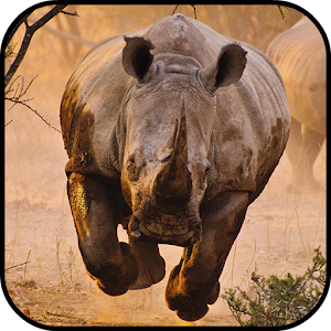 Descargar app Fondos Pantalla Rinoceronte disponible para descarga