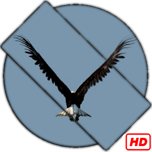 Descargar app Águila Video Wallpaper disponible para descarga