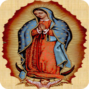 Descargar app Virgen De Guadalupe Today
