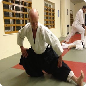 Descargar app Aprender Aikido