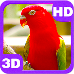 Descargar app Cute Bright Red Parrot On Next Branch disponible para descarga