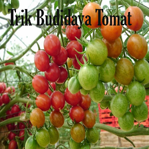 Descargar app El Cultivo Del Tomate Trucos disponible para descarga