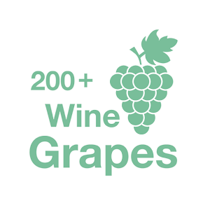 Descargar app 200+ Wine Grapes