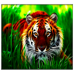 Descargar app Tigre De Pantalla En Vivo disponible para descarga