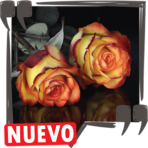 Descargar app Frases De Aniversario De Novios Imagenes De Amor disponible para descarga