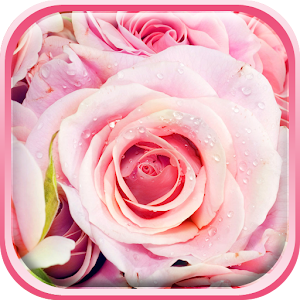 Descargar app Rosas Rosadas Fondos Animados disponible para descarga