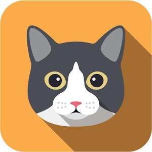 Descargar app Vídeos Divertidos De Gatos