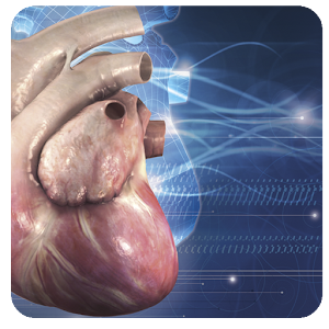 Descargar app Cardiología 3d Peq. Animales disponible para descarga