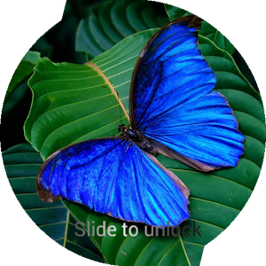Descargar app Butterfly Lock Screen Pro