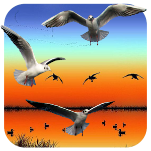 Descargar app Las Aves De Caza disponible para descarga