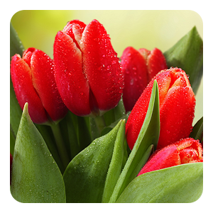 Descargar app Tulipanes Fondo Animado disponible para descarga