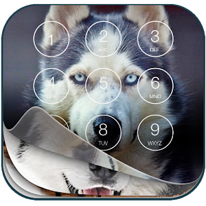 Descargar app Huskies Pantalla De Bloqueo disponible para descarga