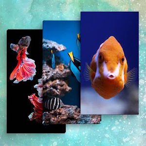 Descargar app Beautiful Fish Live Wallpaper