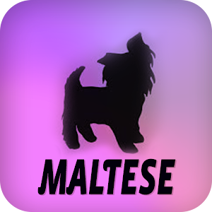 Descargar app Maltés disponible para descarga