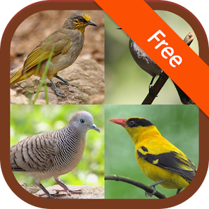 Descargar app Sonidos De Aves De Tailandia disponible para descarga