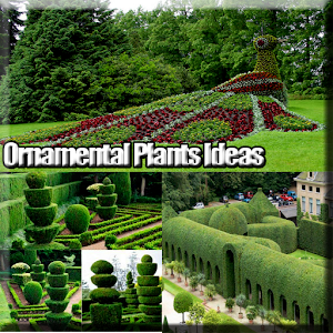 Descargar app Ideas De Plantas Ornamentales